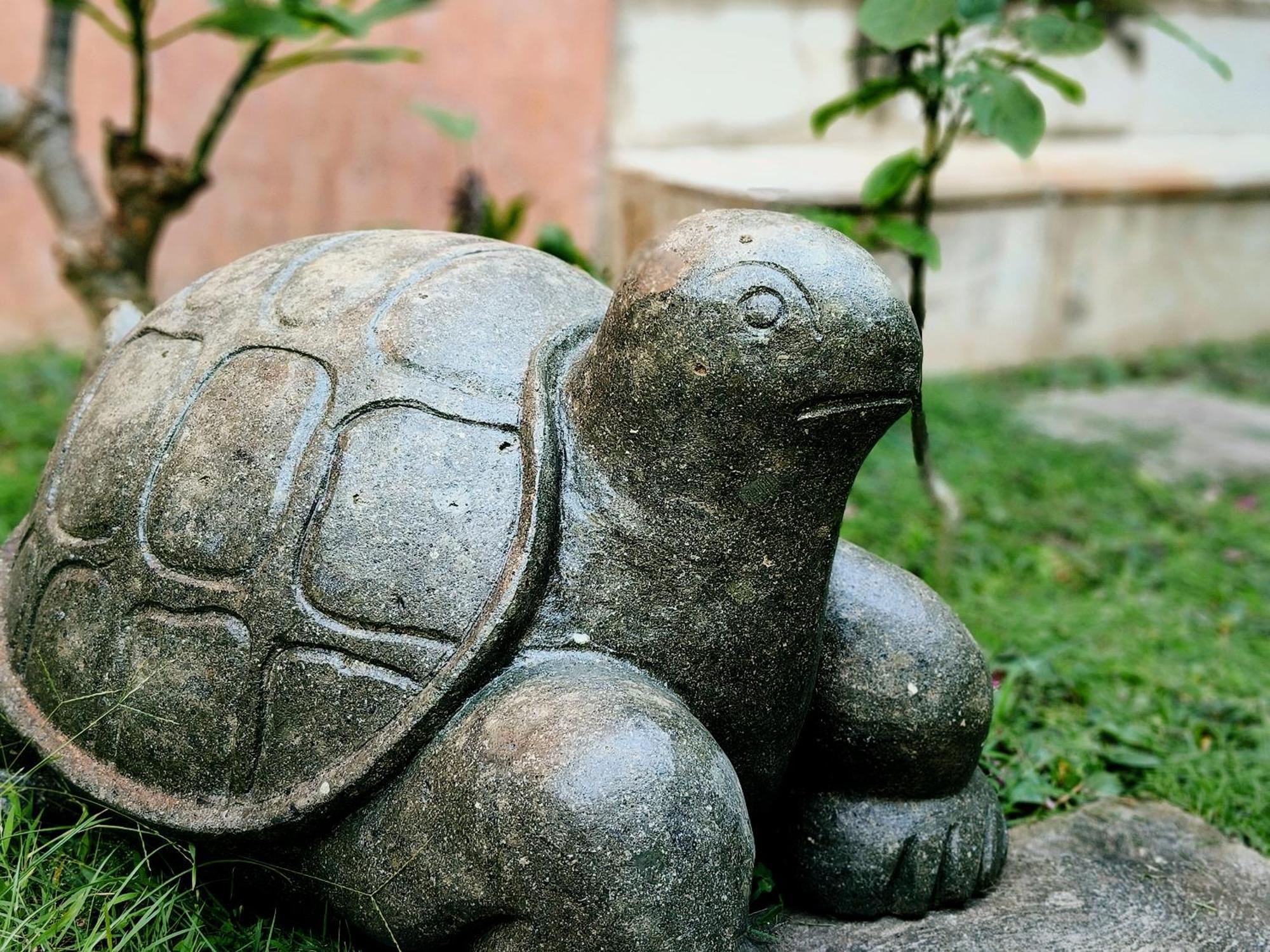 مبيت وإفطار سانور Panda Lumbung المظهر الخارجي الصورة